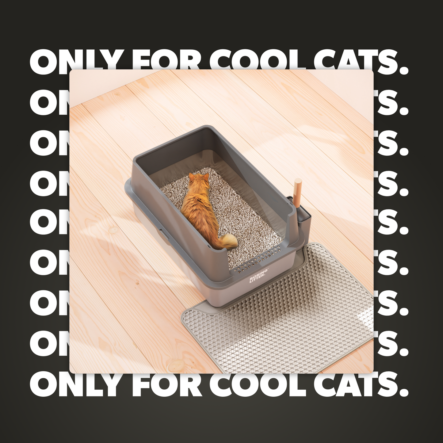 BORING LITTER - Lettiera in Acciaio INOX